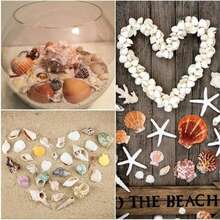 50/100 Pcs Small Starfish Star Sea Shell Beach For Craft 0.4"-1" Best Gifts Birthday Graduation - Multicolor - View 7