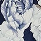 藏蓝色