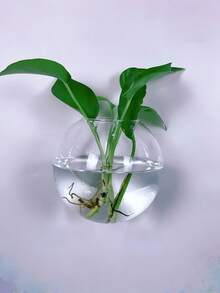 1/2/4件套壁挂式玻璃生态瓶花盆，自浇水水培植物容器，手工圆形透明水晶花瓶，适用于家居办公室装饰，现代简约悬挂式花瓶，墙面艺术，室内绿植展示 - 彩色 - 查看 2