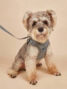 Pet Reflective Anti Slip Chest Harness Set With 1.5-Meter Rope - Grey - View 2