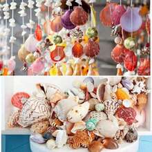 50/100 Pcs Small Starfish Star Sea Shell Beach For Craft 0.4"-1" Best Gifts Birthday Graduation - Multicolor - View 8