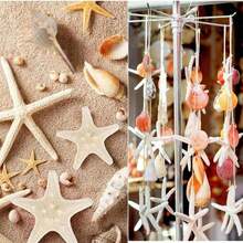 50/100 Pcs Small Starfish Star Sea Shell Beach For Craft 0.4"-1" Best Gifts Birthday Graduation - Multicolor - View 9