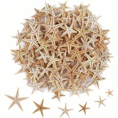 50/100 Pcs Small Starfish Star Sea Shell Beach For Craft 0.4"-1" Best Gifts Birthday Graduation