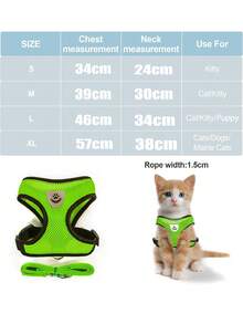 宠物牵引绳套装，含防逃脱可调节胸背带和网状项圈，适用于猫狗 - 綠色 - 查看 7