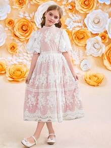 SHEIN Đầm bé gái tuổi teen bằng vải lưới dệt, thêu ren, tay bồng xếp ly, eo thắt eo, kiểu dáng thanh lịch, đầm công chúa, đầm dự tiệc, đầm dạ hội, đầm họp mặt ngày lễ, đầm nghỉ xuân, đầm bé gái dự tiệc cưới. - Màu Hồng baby - Xem 3