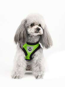 宠物牵引绳套装，含防逃脱可调节胸背带和网状项圈，适用于猫狗 - 綠色 - 查看 2