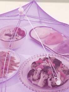 1pc Mesh Food Cover, Foldable Storage,Suitable For Family Table, Party Party, Prevent Insect Bites, Highly Attractive And High Cost Performance - Yellow - View 6