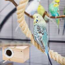 1 pieza Caja de cría de loro de madera, nido de incubación, nido vertical para pájaros, caja de nido aislada, jaula de cría de pájaros, adecuada para cacatúas y periquitos, accesorios para casas de pájaros, suministros para mascotas, ventana de observación transparente, adecuada para varios pájaros y periquitos, suministros para mascotas, jaula de cría de loros, decoración de jardín al aire libre, especializada en suministros para pájaros, regalo de Navidad - Marrón - Ver 4