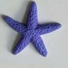 40pcs Resin Starfish Decorations, 1.18 Inch - Perfect For Weddings, Holidays, Home Crafts, Home Decor Ornaments & Accessories Best Gifts Birthday Graduation0 - White - View 9