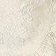 trắng