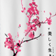 彩色