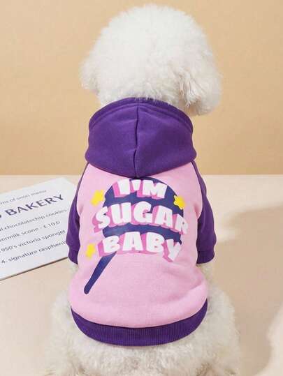 PETSIN 1件撞色、独特、古怪、字母印花、可爱、时尚、保暖的连帽卫衣，适合猫狗穿着，室内外均可穿着。