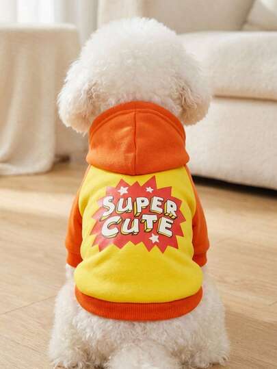 PETSIN 1pc Color-Blocked, Unique, Quirky, Letter-Print, Cute, Stylish, Warm Hooded Sweatshirt Suitable For Cats And Dogs, Both Indoors And Outdoors.