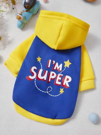 PETSIN 1件撞色、独特、古怪、字母印花、可爱、时尚、保暖的连帽卫衣，适合猫狗穿着，室内外均可穿着。