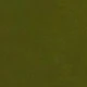 Màu xanh Ô liu