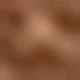 Mocha Brown