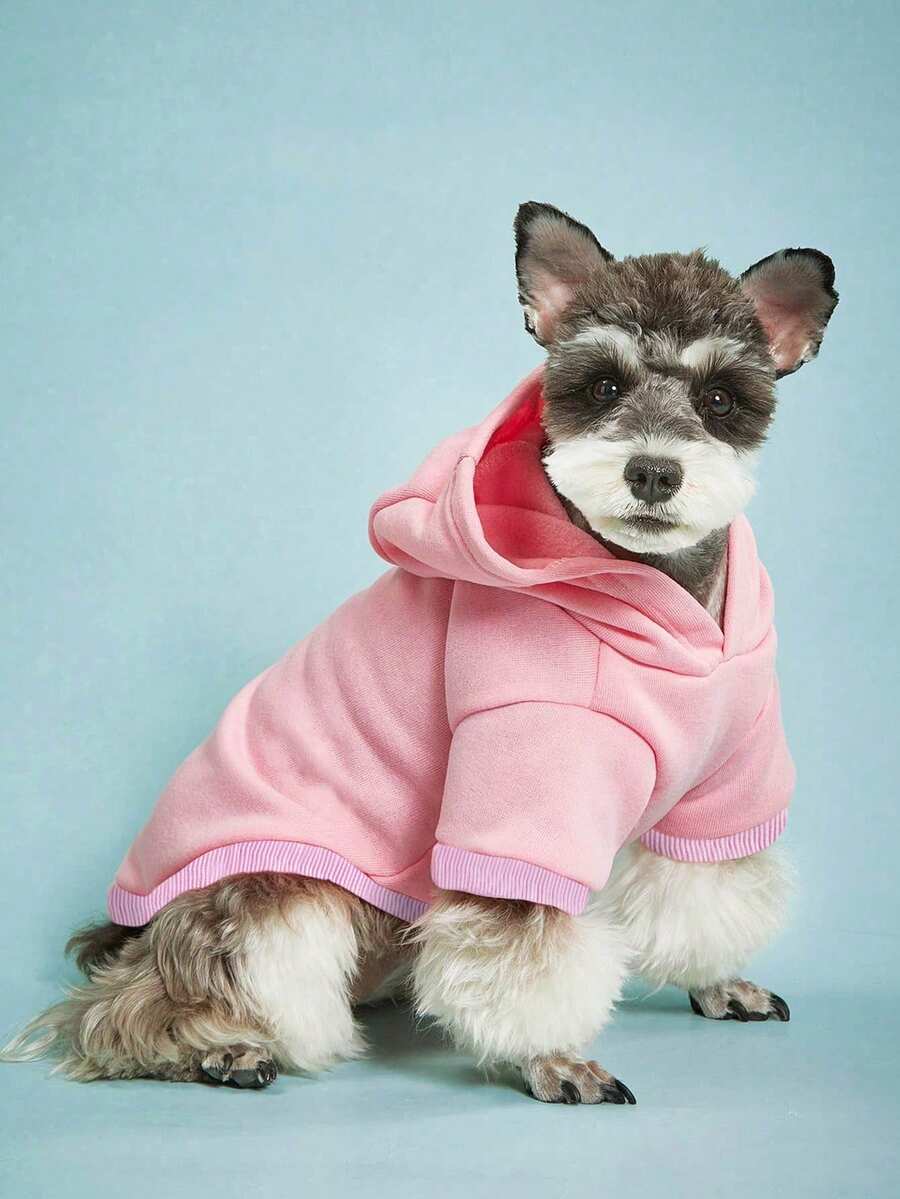 PETSIN 1 Áo hoodie đơn giản màu hồng cho thú cưng mặc hàng ngày - Mềm mại và ấm áp cho mùa thu, đông và đầu xuân; Hoàn hảo cho việc đi dạo hàng ngày, hoạt động ngoài trời, thư giãn trong nhà, du lịch, tụ họp ngày lễ, tiệc tùng và chụp ảnh dễ thương; Mang lại sự ấm áp, thoải mái và phong cách ngọt ngào cho thú cưng của bạn - Nhiều màu - Xem 1