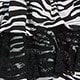 Black and White
