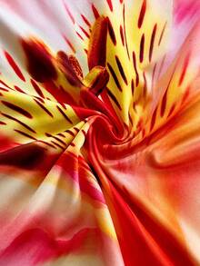 Soleia 女士印花深V领性感迷你连衣裙，度假风 - 彩色 - 查看 6