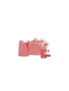 Diego Dalla Palma Powder Blush 21 Dusty Rose 5 G - 21 Antique Rose - View 2