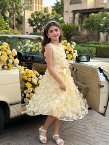 SHEIN 1pc Tween Girls' Spring/Summer Sleeveless Round Neck Mesh Butterfly Embroidered Party Elegant Flower Girl Wedding Bridesmaid Sweet A-Line Dress With Satin Belt, Everyday Wear Princess Dress - Apricot - View 6