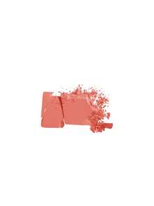 Diego Dalla Palma Powder Blush 24 Warm Pink 5 G - 28 Coral - View 2