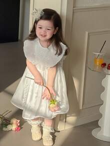 DAZY Baby Girls Summer New Lace Trim Princess Tulle Dress Backless Party Wear - White - View 7