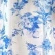 Blue and White