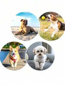 PETSIN 1 Piece Pet Anti-Slip Paw Pad; Dog Toe Grip Pad; Anti-Slip And Anti-Scratch Paw Pad For Dogs; Pet - Multicolor - View 6