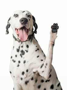 PETSIN 1 Piece Pet Anti-Slip Paw Pad; Dog Toe Grip Pad; Anti-Slip And Anti-Scratch Paw Pad For Dogs; Pet - Multicolor - View 9