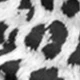 Black and White
