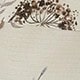 彩色
