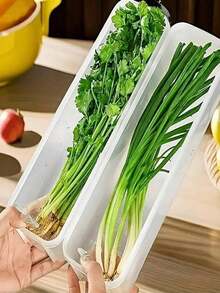4pcs Rectangular Food Storage Containers, Reusable Plastic Refrigerator Organizer Boxes For Storing Scallions, Parsley, Cilantro, Garlic, Noodles, Eggs, Etc. With Lids, Hand Washable, Kitchen Essential, Back To School Must-Have - Multicolor - View 7
