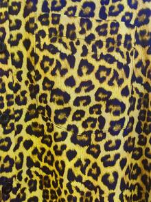 Franclia 女士休闲宽松长袖衬衫，豹纹图案，简约百搭，适合日常穿着，秋冬季 - 黃色 - 查看 4