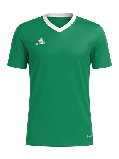 Adidas Entrada 22 Herren-Trikot Grün
