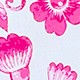 Rosa Fucsia
