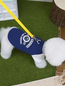 PETSIN Gilet et capuche en peluche veloutée pour animaux de compagnie pour l'automne/l'hiver - Pull doux et chaud avec boucle de traction pour chiens, chats et petits animaux, à porter à l'intérieur/à l'extérieur - Multicolore - Voir 20