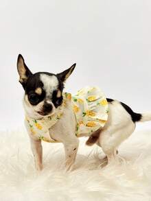 PETSIN 黄色菠萝休闲家居服连衣裙，适合日常穿着和宠物牵引绳，春夏季 - 黃色 - 查看 8