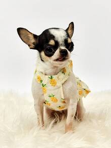 PETSIN 黄色菠萝休闲家居服连衣裙，适合日常穿着和宠物牵引绳，春夏季 - 黃色 - 查看 10