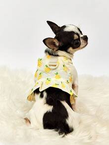 PETSIN 黄色菠萝休闲家居服连衣裙，适合日常穿着和宠物牵引绳，春夏季 - 黃色 - 查看 2