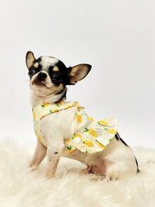 PETSIN 黄色菠萝休闲家居服连衣裙，适合日常穿着和宠物牵引绳，春夏季 - 黃色 - 查看 6