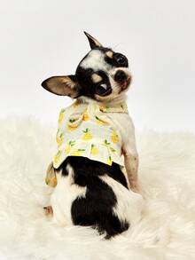 PETSIN 黄色菠萝休闲家居服连衣裙，适合日常穿着和宠物牵引绳，春夏季 - 黃色 - 查看 9