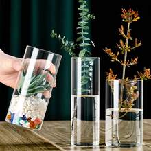 1个透明简约水培玻璃花瓶，适用于婚礼、客厅装饰、苔藓瓶礼品、生日、毕业典礼、家居装饰。 - 無色 - 查看 1