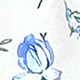 Xanh và trắng
