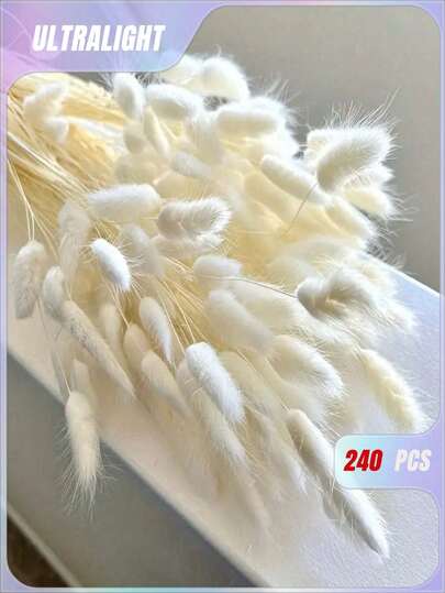 240 piezas de flores naturales secas para decoración, flores secas naturales de cola de conejo, pasto pampa seco, usado para decoración del hogar, decoración de bodas, decoración de fiestas, manualidades DIY, accesorios de fotografía, decoración temática (Blanco)