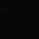 الأسود