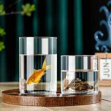 1个透明简约水培玻璃花瓶，适用于婚礼、客厅装饰、苔藓瓶礼品、生日、毕业典礼、家居装饰。 - 無色 - 查看 5