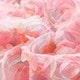 Hồng