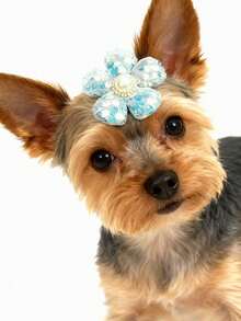 PETSIN 1 件装宠物珍珠花朵发夹；宠物卡通发夹；猫咪发夹；狗狗发夹；宠物配件；宠物用品。 - 彩色 - 查看 19