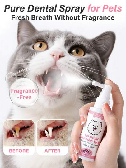 PETSIN 猫咪牙齿清洁清新喷雾 | 兽医推荐，无味，无需刷牙，适用于猫咪和幼猫 | 2.03 液盎司 (60毫升)